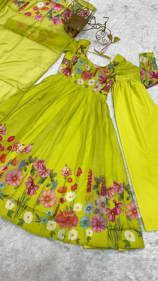 Liril Color Floral Organza Anarkali Suit Set for Festivals & Weddings