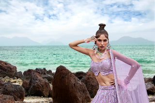 Mauve Net Multi Sequins with heavy Zarkan embroidery Semi-Stitched Lehenga choli & Dupatta Clothsvilla