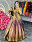 Multi Regal Banarasi Zari Silk Semi-Stitched Lehenga Choli Set with Dupatta ClothsVilla