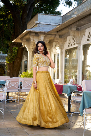 Mustard Golden Glow Goldie Lehenga Set with Sequins Embroidered Blouse & Dupatta