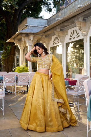 Mustard Golden Glow Goldie Lehenga Set with Sequins Embroidered Blouse & Dupatta