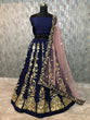 Load image into Gallery viewer, Navy Blue Elegant Tapeta Silk Lehenga Set ClothsVilla
