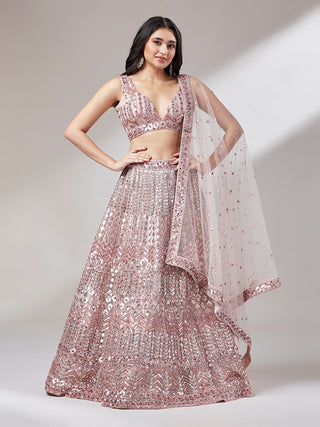 Net Mirror & Sequins Embroiderey Semi-Stitched Lehenga Choli