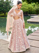 Load image into Gallery viewer, Nude Organza Sequins embroidery Semi-Stitched Lehenga choli &amp; Dupatta ClothsVilla