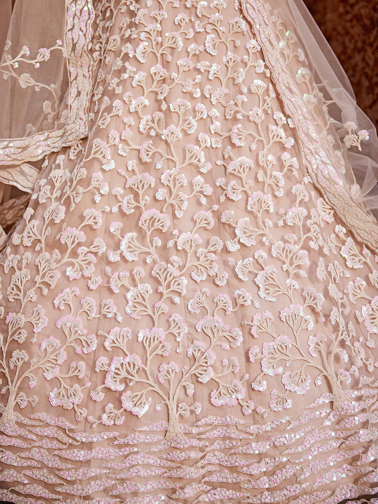 Nude Pink Net Sequinse embroidery Semi-Stitched Lehenga choli & Dupatta ClothsVilla