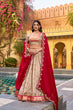 Load image into Gallery viewer, Off White Paithani Border Lehenga Choli ClothsVilla