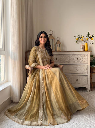 Olive Embroidered Beads Work Gown ClothsVilla