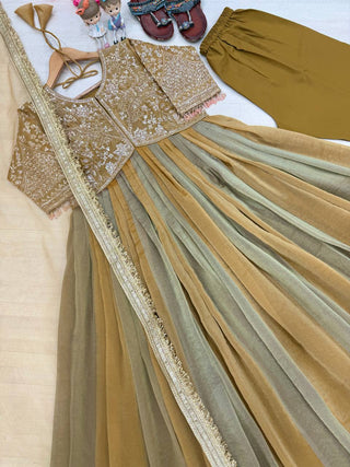 Olive Embroidered Beads Work Gown ClothsVilla