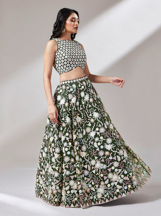 Olive Net heavy Sequinse embroidery Semi-Stitched Lehenga choli & Dupatta Clothsvilla