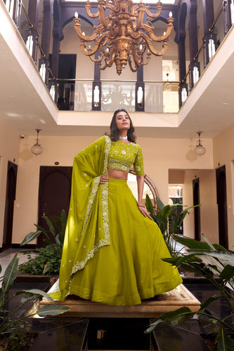 Parrot Designer Embellished Lehenga Set in Vichitra Silk, Weone Silk, Star Georgette & New Crush Clothsvilla
