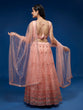 Load image into Gallery viewer, Peach Net Sequinse Work Semi-Stitched Lehenga &amp; Unstitched Blouse, Dupatta Clothsvilla