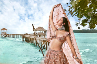 Peach Organza Sequins, Moti and thread embroidery Semi-Stitched Lehenga choli & Dupatta Clothsvilla