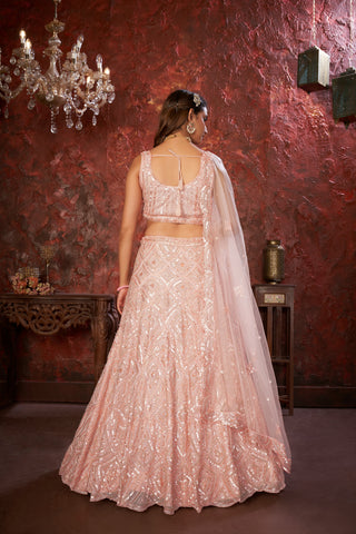 Peach Sequin Embroidered Lehenga Choli Set - Regal Elegance - Designer Wear ClothsVilla