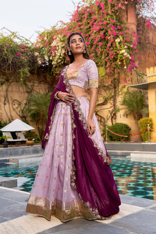 Pink Paithani Lehenga Set ClothsVilla