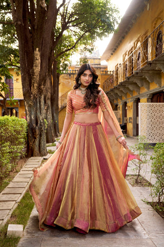 Pink Silk Embroidered Lehenga Set ClothsVilla