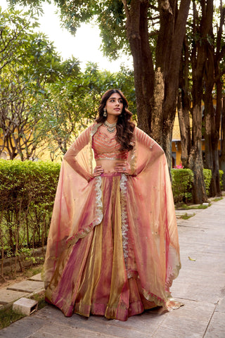 Pink Silk Embroidered Lehenga Set ClothsVilla