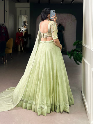 Pista Allen Crush Stitched Lehenga Choli Set with Sequins & Beads Work Blouse and Designer Lace Dupatta – Ready to Wear ClothsVilla