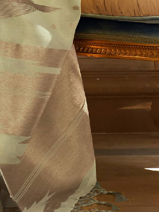 Pista Embroidered Banarasi Tissue Saree with Tassels ClothsVilla