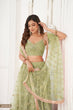 Load image into Gallery viewer, Pista Green Butterfly Net Lehenga with Tone-to-Tone Thread Work and Mirror Embroidery ClothsVilla