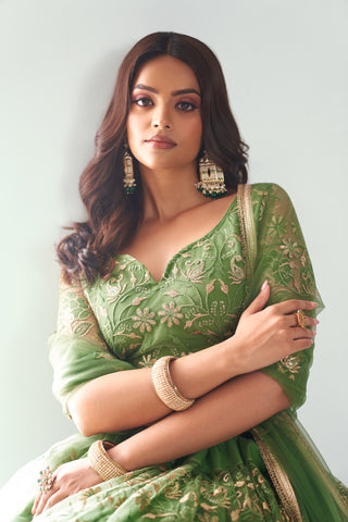 Pista Green Graceful  Butterfly Net Lehenga with Exquisite Embroidery