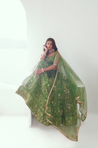 Pista Green Graceful  Butterfly Net Lehenga with Exquisite Embroidery