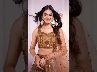 Brown Designer Embroidered Lehenga Choli