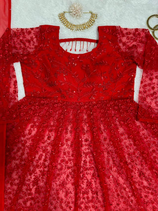 Red Elegant Butterfly Net Embroidered Suit with Micro Pant & Faux Georgette Dupatta Clothsvilla