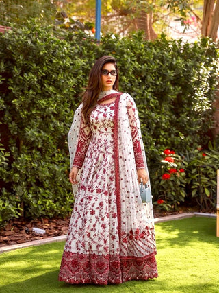 Red Georgette & Organza Silk Gown ClothsVilla