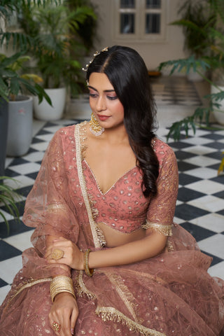 Rust Butterfly Net Lehenga with Tone-to-Tone Embroidery and Sequins