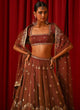 Load image into Gallery viewer, Rust Orange Fandy Silk Lehenga Choli ClothsVilla