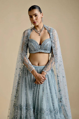Sky Blue Brighten Your Day Stunning Net Lehenga Set with Sequins Work ClothsVilla