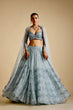 Load image into Gallery viewer, Sky Blue Brighten Your Day Stunning Net Lehenga Set with Sequins Work ClothsVilla