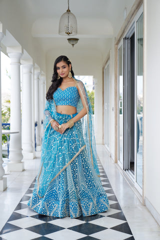 Sky Blue Butterfly Net Lehenga with Intricate White Thread and Sequin Embroidery