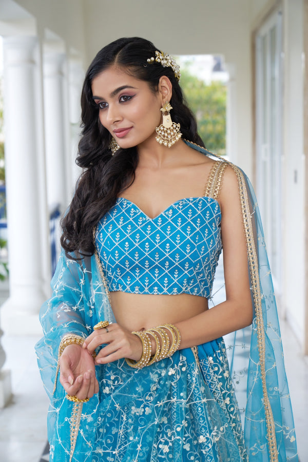 Sky Blue Butterfly Net Lehenga with Intricate White Thread and Sequin Embroidery