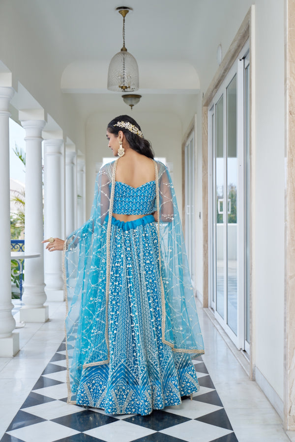 Sky Blue Butterfly Net Lehenga with Intricate White Thread and Sequin Embroidery