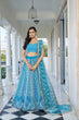 Load image into Gallery viewer, Sky Blue Butterfly Net Lehenga with Intricate White Thread and Sequin Embroidery