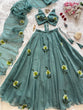 Load image into Gallery viewer, Sky Blue Designer Fandy Crush Handpaint Lehenga Set ClothsVilla