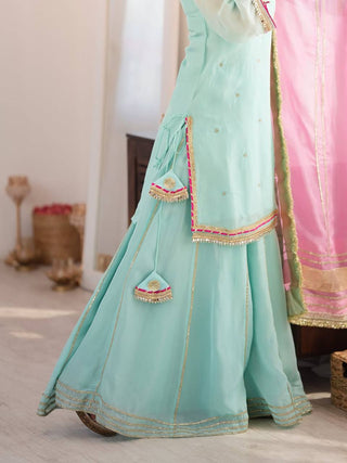Sky Blue Premium Designer Sharara Set ClothsVilla