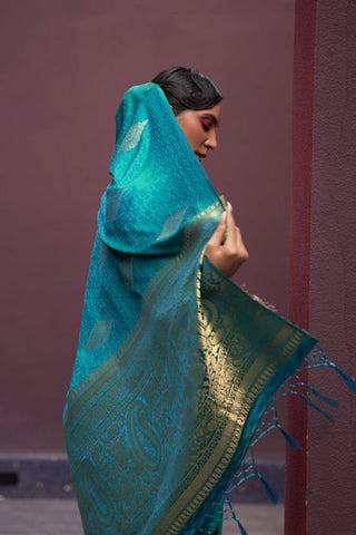 Sky Blue Regal Woven Pure Silk Banarasi Saree ClothsVilla