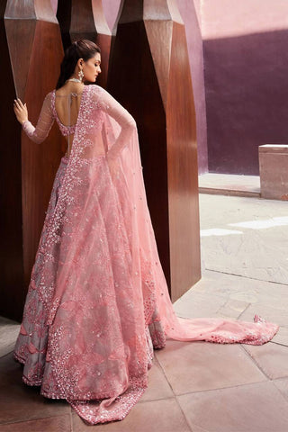 Soft Gray Thai Silk Embroidered Lehenga Choli ClothsVilla