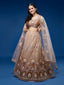 Rust Net Gotapatti Work Semi-Stitched Lehenga & Blouse with Dupatta Clothsvilla