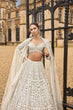 Load image into Gallery viewer, White Embellished Net Lehenga Set — A Story of Love &amp; Timeless Beauty ClothsVilla