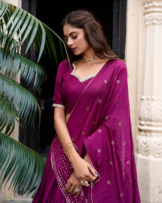 Wine Graceful Elegance Pure Chanderi Lehenga with Zari Border & Sequin Dupatta
