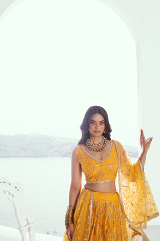 Yellow Elegant Butterfly Net Lehenga with Tone-to-Tone Embroidery