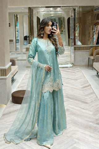 Silk-Finish Embroidered Palazzo Suit with Net Dupatta – Blush Pink, Lime Green, Aqua Blue & Lavender ClothsVilla
