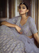 Load image into Gallery viewer, Charming Grey Zarkan Dori Soft Net Panelled Lehenga Choli Set Clothsvilla