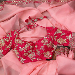 Organza Saree with Lace Border and Embroidery Work with Dashing Silk Blouse ClothsVilla