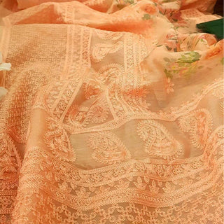 Organza Silk Saree with Beautiful Lucknowi Work and Blouse for Wedding ClothsVilla