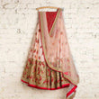 Load image into Gallery viewer, Pale red heavy butterfly net sequence embroidered lehenga choli ClothsVilla