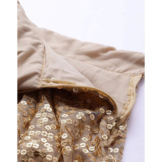 Beige color Net Lehenga with Heavy Embroidery, Zari and Thread work ClothsVilla